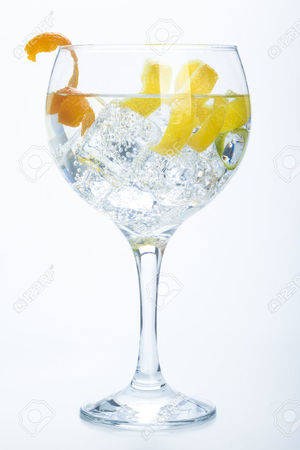 Gin Tonic