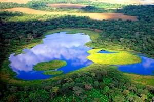 Academia de Ciencias conmemora el Día Mundial de los Humedales