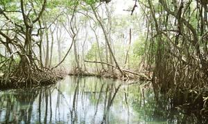 MA destaca el impacto positivo de la naturaleza en ocasión al 