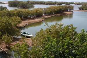 Medio Ambiente celebra Día Mundial de los Humedales: “No estamos indefensos ante el Cambio Climático”