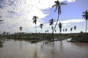 El impacto de Irma será 