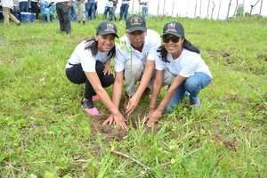 Senado realiza jornada de siembra de árboles en cuenca río Isabela