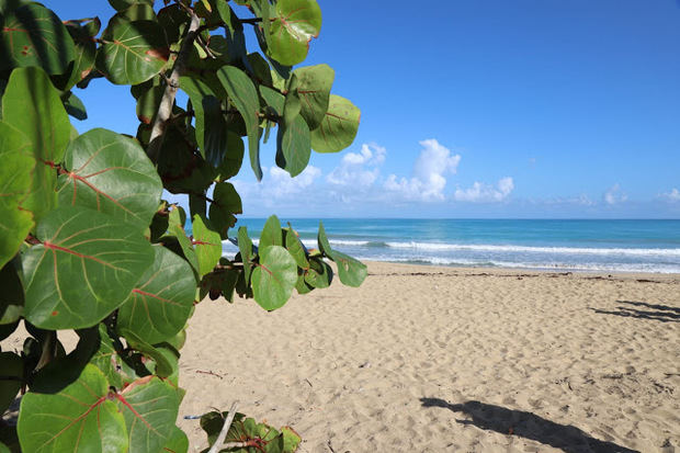 Playa de Miches.