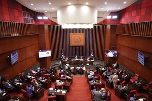 El Senado aprueba en segunda lectura proyecto elimina aranceles a alimentos