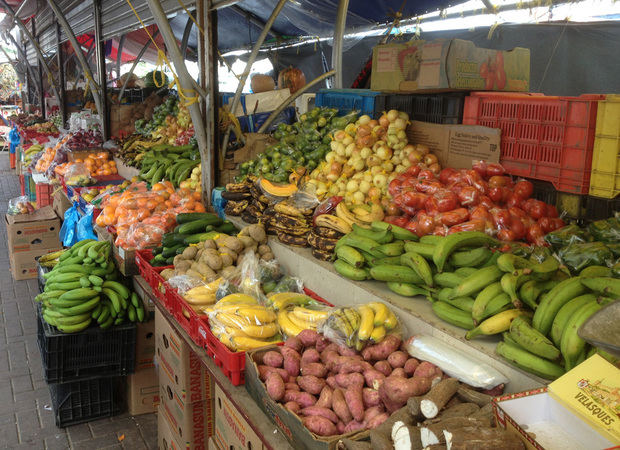 Posponen la Feria Agropecuaria Nacional para prevenir el coronavirus.