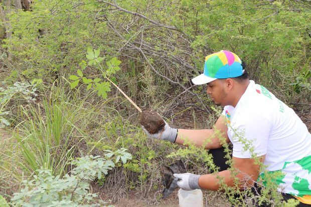 Industrias San Miguel (ISM) afianza su compromiso con la conservación del roblillo y el medioambiente