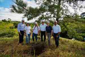 Voluntarios del Banco Popular realizan reforestación en La Sierra