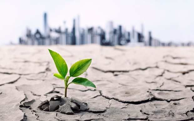 Primer Foro Dominicano de Carbono marca hito para el financiamiento climático empresarial.