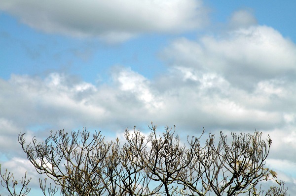 Cielo nublado