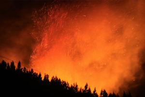 Greenpeace denuncia que incendios en Siberia afectan 4,5 millones hectáreas