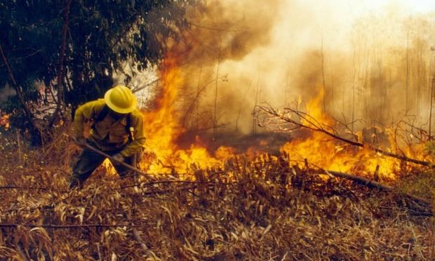 Efectivos trabajan en sofocar tres incendios forestales en Sierra de Bahoruco