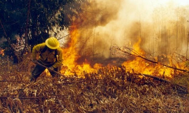 Efectivos trabajan en sofocar tres incendios forestales en Sierra de Bahoruco.