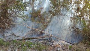 Medio Ambiente informa imponen medida de coerción a acusados de incendios forestales en Bávaro