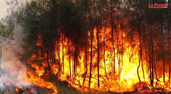 Incendios forestales en Columbia Britanica, Canada