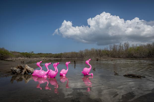 Artistas visuales dominicanas exponen en PhotoEspaña 2017