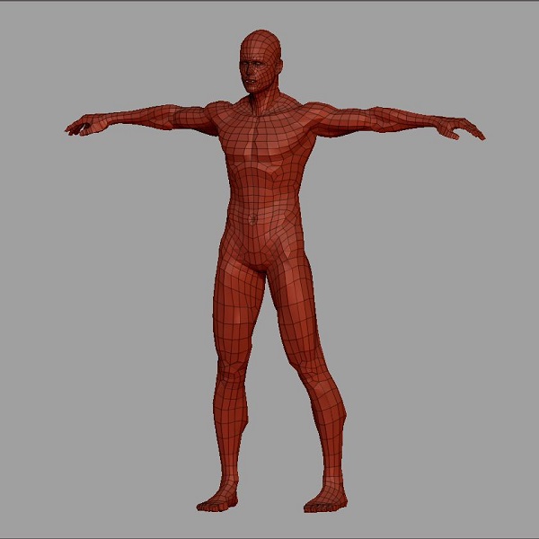 Cuerpo humano en 3D