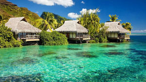 JAPEX la feria turística de Jamaica se realizará de forma virtual