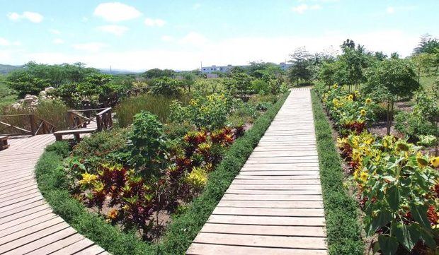 Jardín Botánico de Santiago.