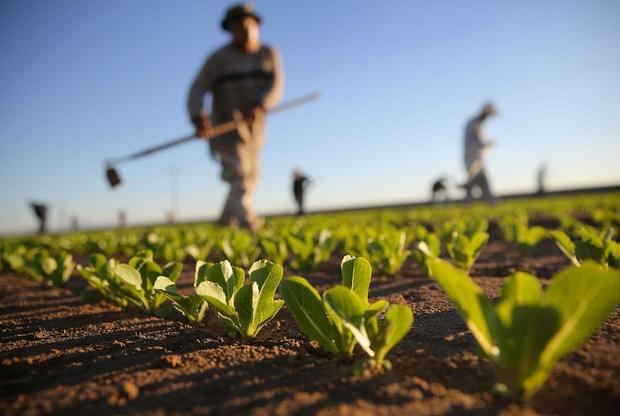 Latinoamérica avanza en un plan regional de agricultura ante el cambio climático