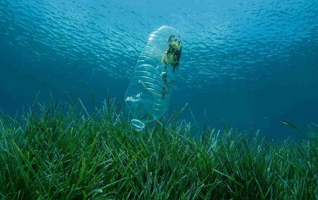 Antes de lo que pensamos habrá en los océanos más plástico que peces 