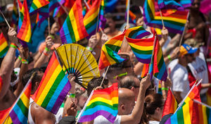 Comunidad LGTBI reclama un Código Penal inclusivo