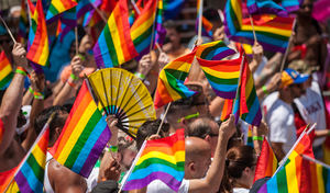 Comunidad LGTBI reclama un Código Penal inclusivo