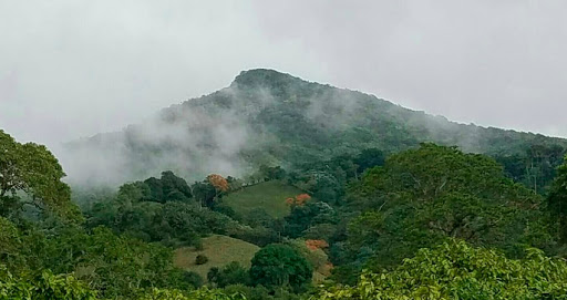 Vista panorámica de la Loma Quita Espuela