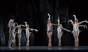 “Les Ballets de Monte Carlo” presentará su obra “LAC” basada en El Lago de los Cisnes
