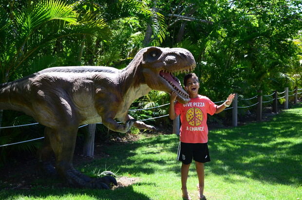 Niño disfrutando de las aventuras del parque.