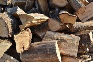 Medio Ambiente incauta madera cortada ilegalmente en SFM