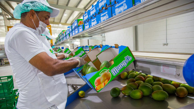 El presidente Danilo Medina cumplió el compromiso asumido durante una Visita Sorpresa a productores de mango de la provincia Peravia, al entregar hoy una moderna planta de empaque y tratamiento hidrotérmico.