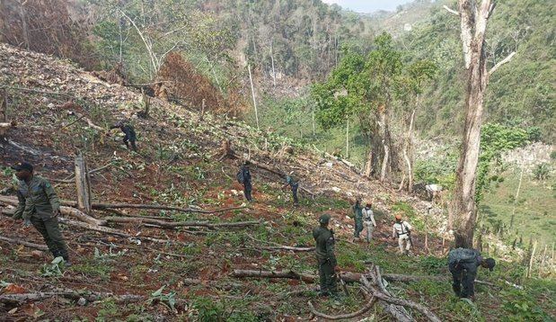 Medio Ambiente en los Haitises.