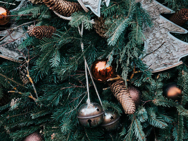 Navidades sostenibles y respetuosas con la naturaleza.