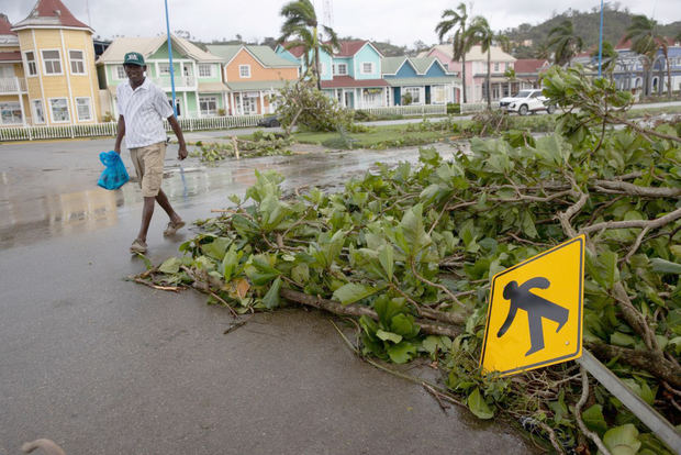 Vista de un árbol caído sobre una calle tras el paso del huracán Fiona, hoy, en el barrio Ginandiana, en Samaná. 