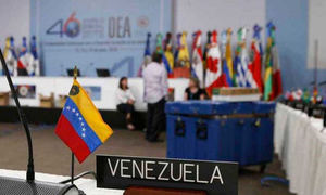 La OEA aplaza hasta el lunes su sesión extraordinaria sobre Venezuela
 