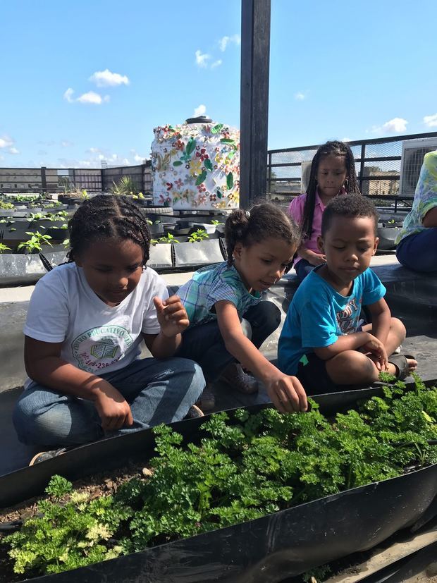 Niños trabajan en el huerto de la FAC.