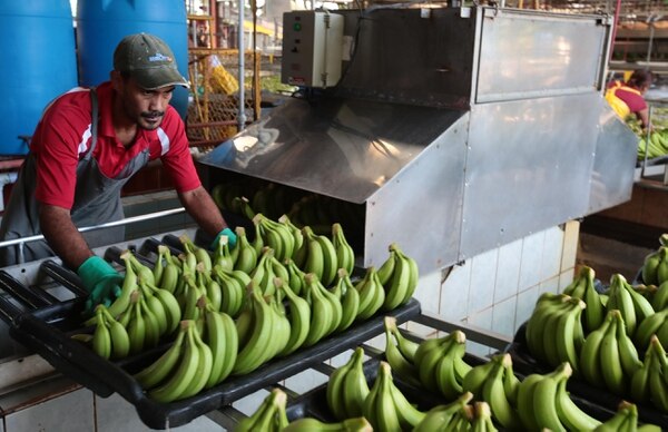 En total ocho de las quince actividades económicas del país crecieron menos que el mes previo.