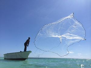 Jake Kheel disertará sobre alternativas para el pescador artesanal