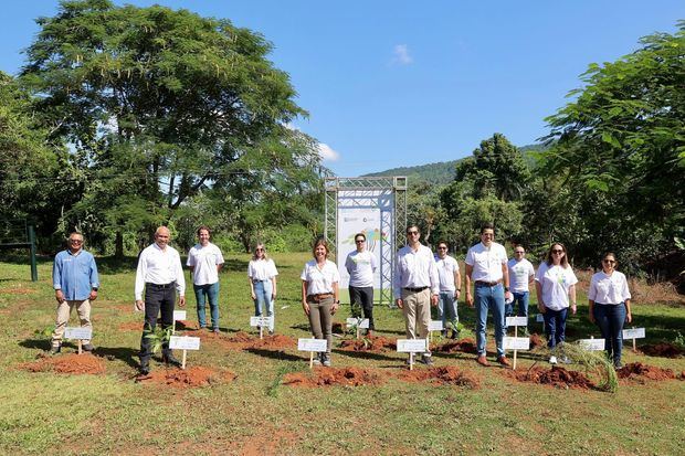 Siembra de más de 2,000
plantas de cacao y 100 especies endémicas de la Lista Roja Misión Rescate.