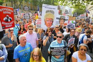 Miles de británicos claman en las calles contra la clausura del Parlamento