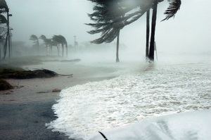 Prevención, elemento clave para una mayor resiliencia ante desastres naturales