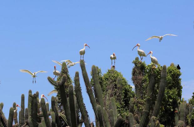 Parque Nacional Jaragua 