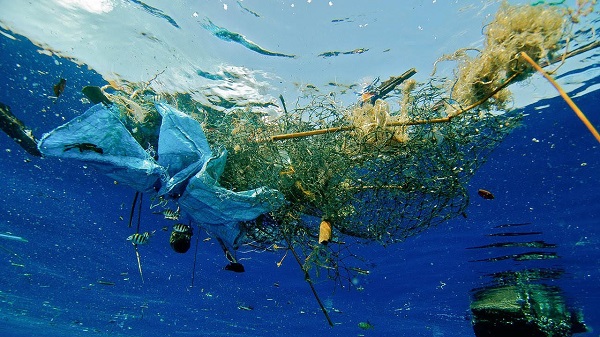 Plásticos en el mar