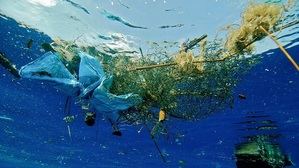 Advierten uso masivo de plásticos en mares genera impacto negativo al turismo