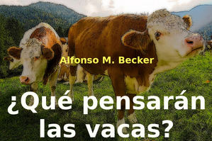 ¿Qué pensarán las vacas?