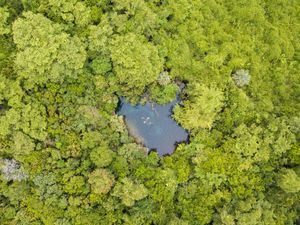 Reserva Ecológica Ojos Indígenas.