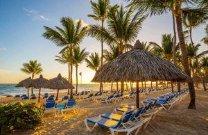 
Playa Palmera, un paraíso que lo tiene todo

 