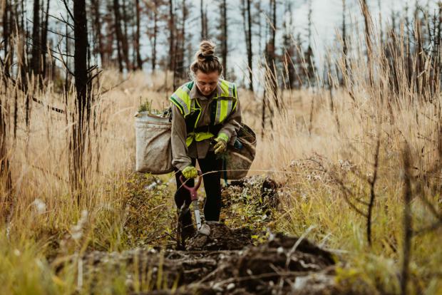Tetra Pak se compromete actuar en favor de la naturaleza