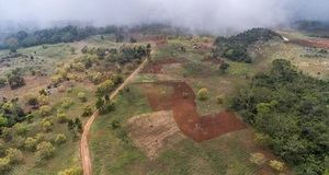 Academia de Ciencias denuncia cuenca del río Mulito está devastada