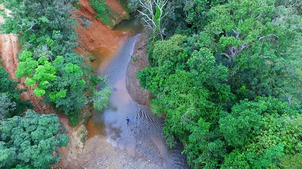 El premio ecológico reconoce iniciativas en favor de la conservación y uso adecuado del agua.